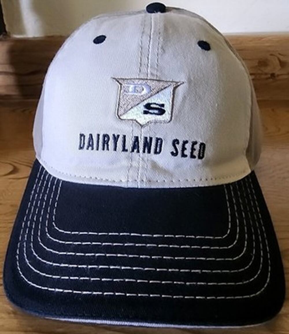 Dairyland Seed Baseball Cap Men's Adjustable OSFA Tan Navy Blue Embroidered Logo